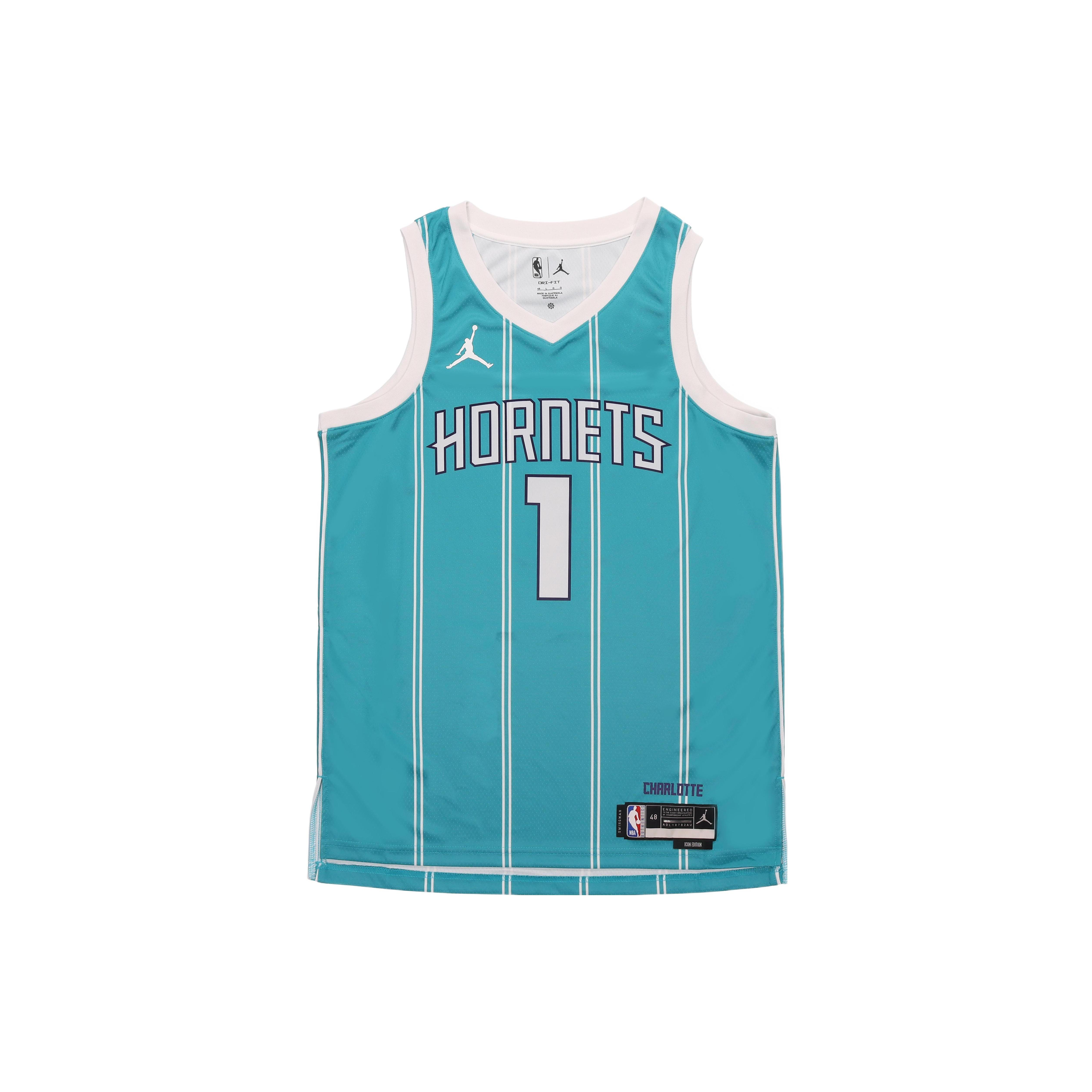 Air Jordan Dri-FIT NBA Charlotte Hornets Lamelo Ball Icon Edition 2022/23 Swingman Jersey Green Men s DN1998-415
