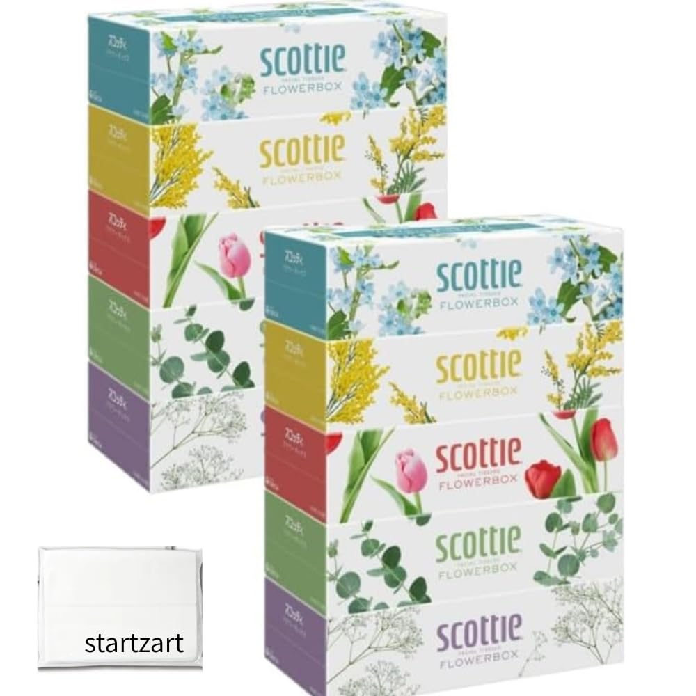 500 sheets 5 boxes x 2 bulk large flower Startzart includes pocket Long-lasting tissues, (250 pairs), packs, 10-box set, purchase, capacity, design,