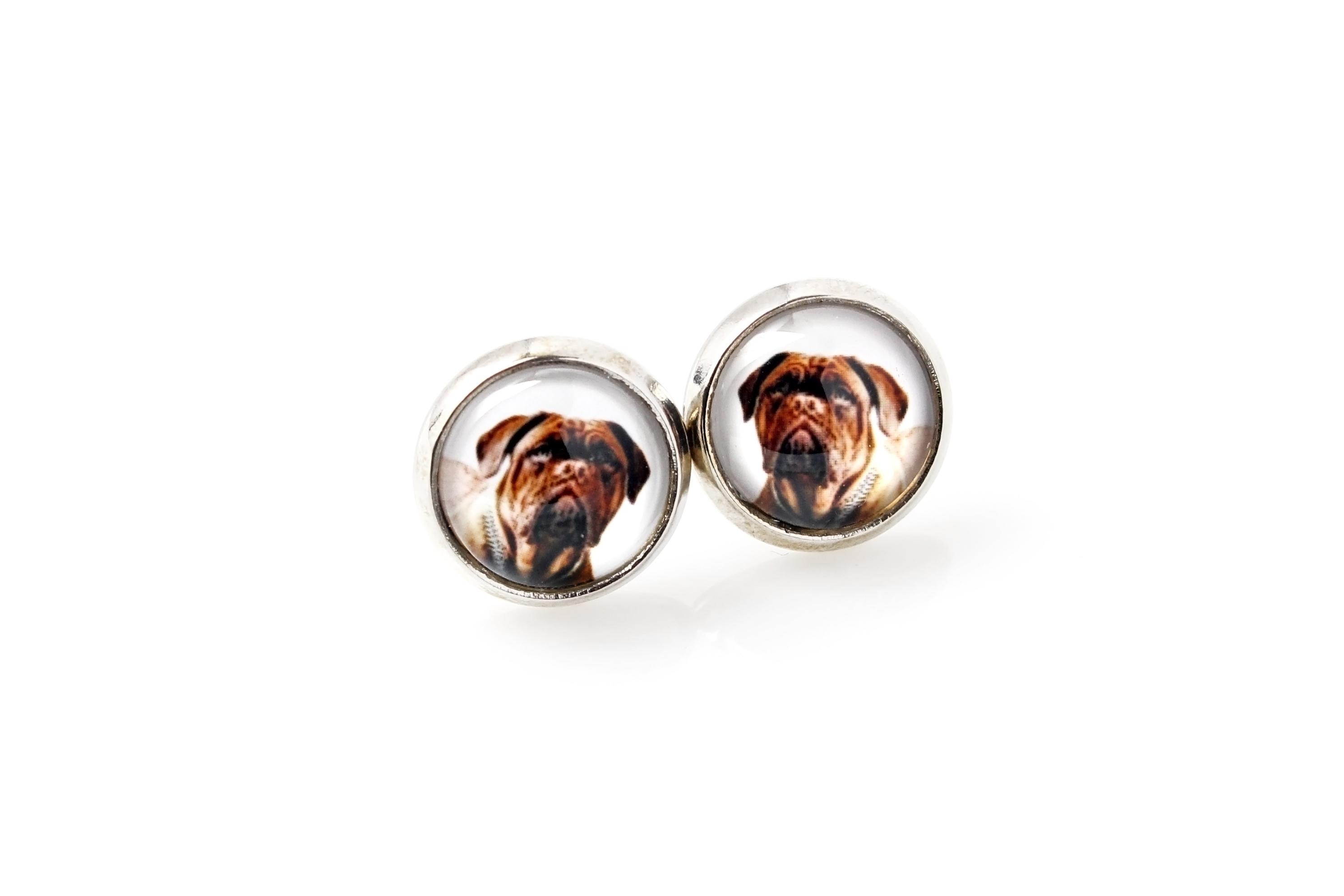 

Dogue de Bordeaux, French Mastiff, Bordeauxdog - earrings your photo handmade, own photo, jewelry from the Art.-Dog brand срібний