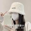 Popular cute wool hat women's autumn and winter thickened warm hat plush fashion literary and artistic face small knitted hat