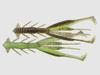 Jackall Soft Lure Jimmy Shrimp 3.8 Inches Green Pumpkin Chart (7847)