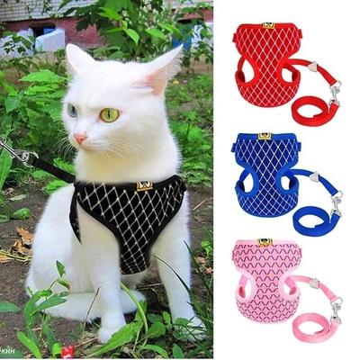 harness for teacup puppy