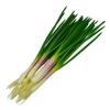 Realistic Artificial Green Onion PU Imitation Scallions Model Simulation Vegetable  Counter