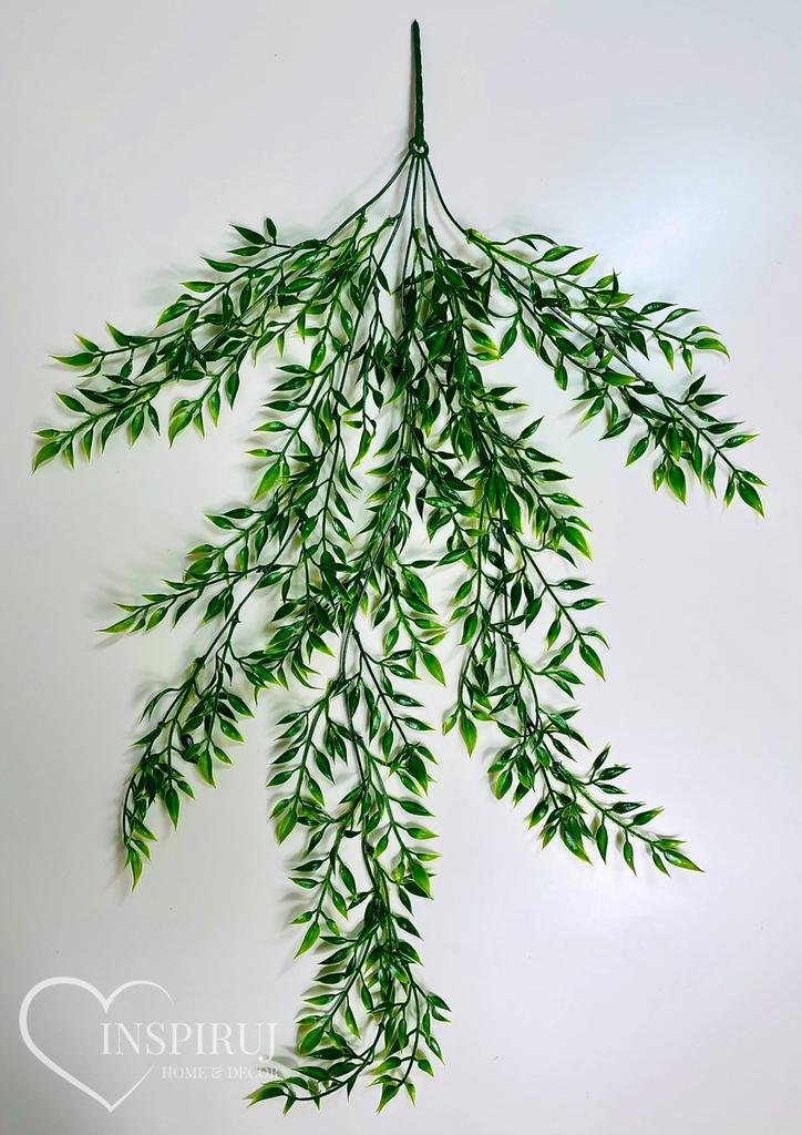 Girlanda z liści ruskusu, zwis ruskus 80 cm kolor zielony
