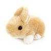 Yoshinori Riku No Friends Rabbit Beige