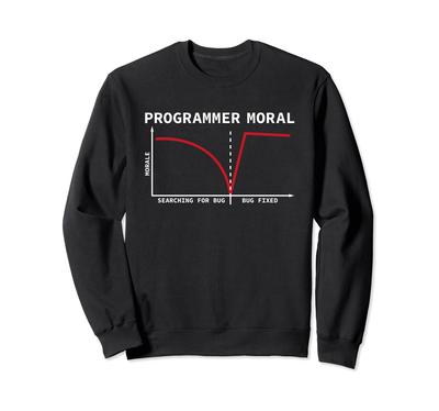 Programmierer Moral Informatiker Coding Trainer