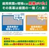 Refresh Mint Toothpaste 120g Bulk Pack (Amazon.co.jp Exclusive)