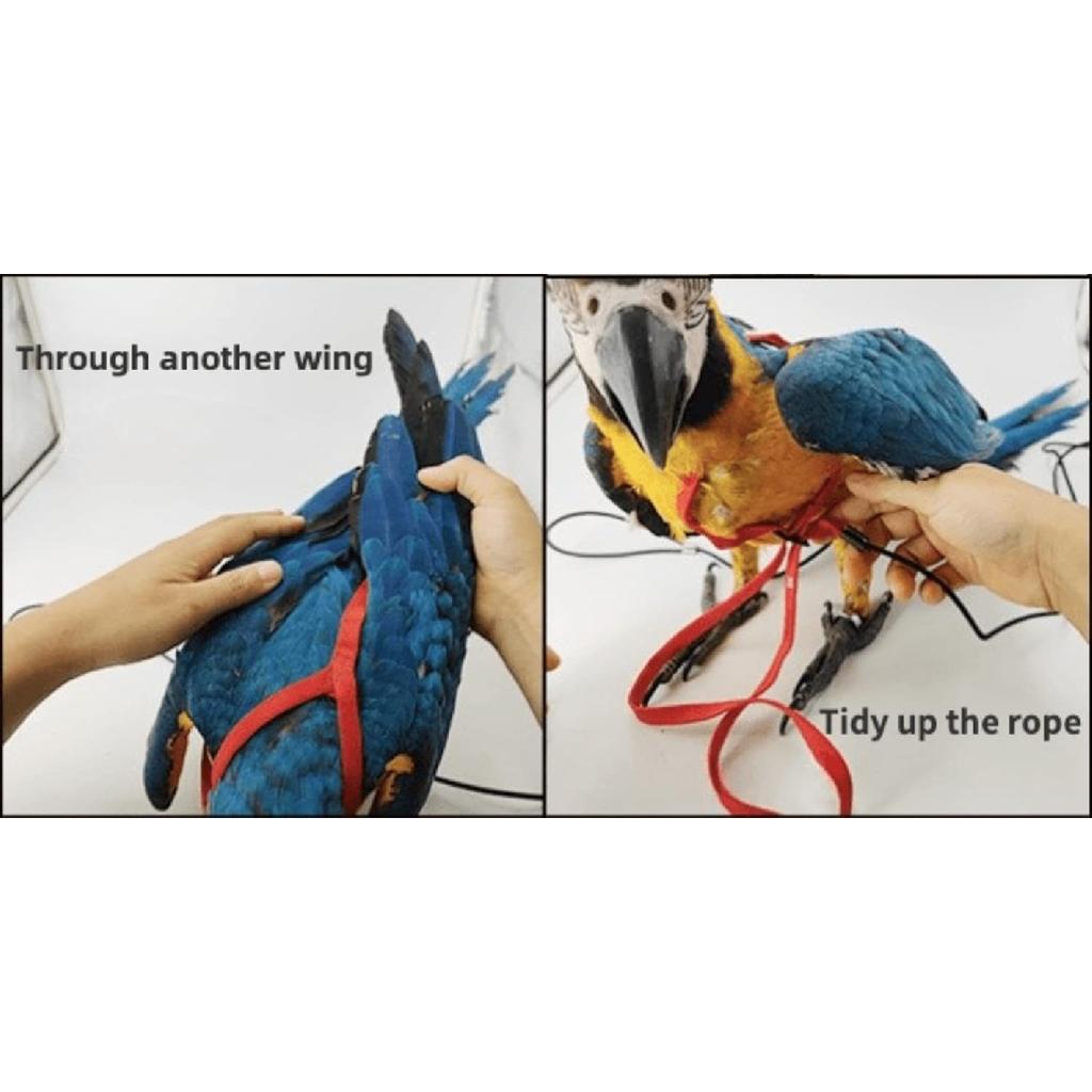 Adjustable Bird Harness with 78.7 Inch Leash, Outdoor Flying Training Rope Kit for Bird Parrots, Parrot Flying Rope Straps Outdoor Training Traction