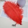 White Ostrich Feathers 15-80cm for Lighting, Wedding Aisle Decor, Photo Props, and Vase Ornaments