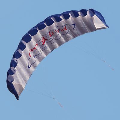 Power Braid Sailing Kitesurf High Quality Double Line Parachute Kites Professional Large 1.4m with 2 Handle for Adults Children
