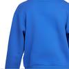 Nike Kids Logo Solid Color Round Neck Pullover Sweatshirt Kids sweatshirt Blue FJ6525-480