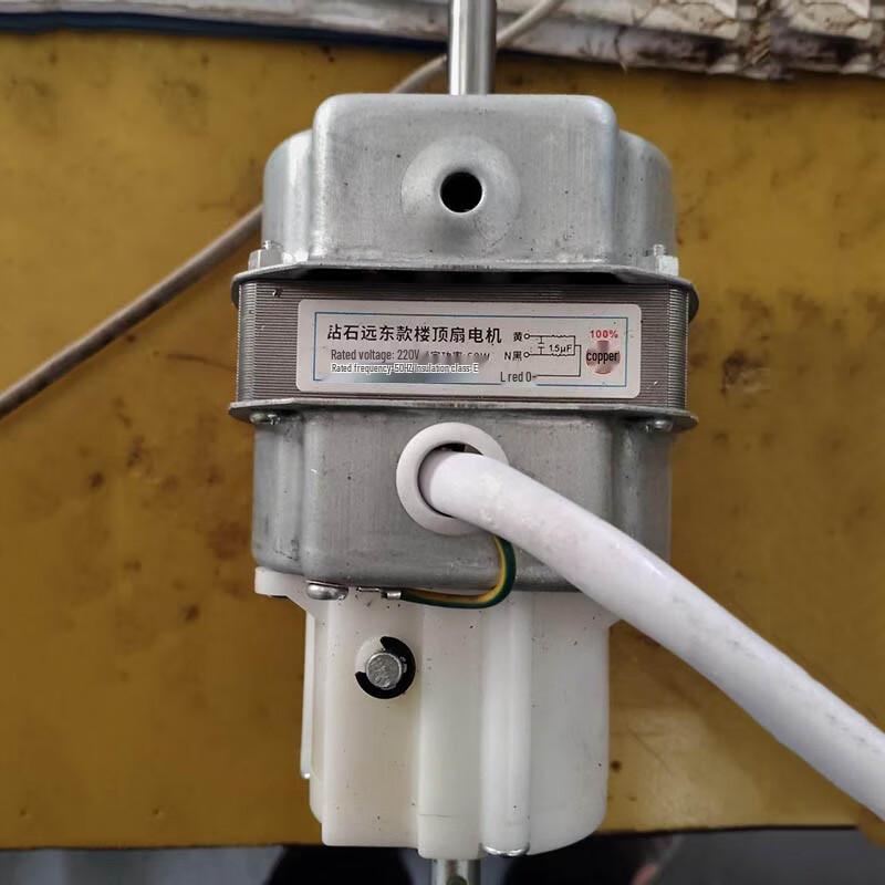 

Electric Ceiling Fan Motor CN plug (adapter included)