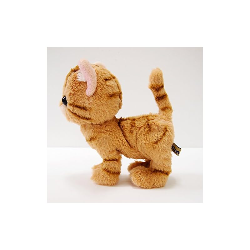 Sun Lemon Kitten American Shorthair Brown Plush Animal Cat P-7531 14.9 X 16.3 X 7.2 Cm