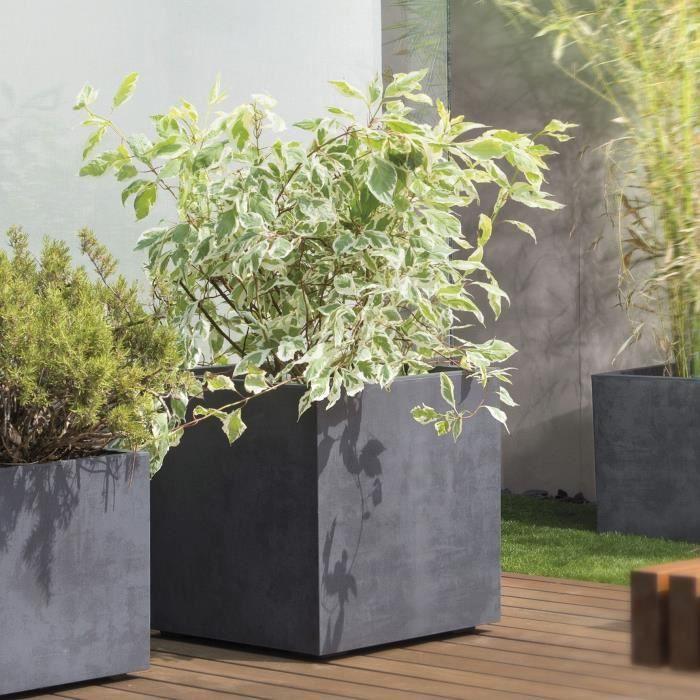 Pot de fleurs - MILLENNIUM R - Plastique - Anthracite - Carrée - 49xH49,5cm - A réserve d'eau - Avec roulettes - DEROMA