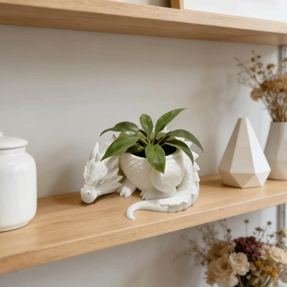 Growing Pots Succulent Planter Plastic Flower Container Dragon Shaped Plant Pot for Living Room