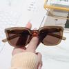 Custom logo Designer Sunglasses Women Classic Retro Shades Sun Glasses 2023 Sunglasses for Men Women
