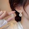 Double-Sided Rhinestone Zirconia Water Drop Earrings: Light Luxury Niche High-End Fashion Jewelry for Women
