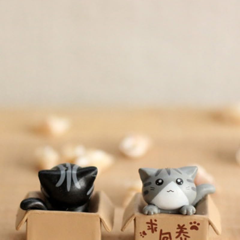 Cute Boxed Kitten Accessory, Cute Cat Figurine, Miniature Boxed Figurine, Houseplant Ornament (1 Black)