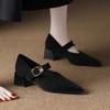 Autumn Deer Hide Velvet Mary Jane Shoes - French Retro Pointed-toe Shallow-toe High-heeled Single Shoes with Belt Buckle