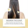 2025 Latest Model  Hair Care Mist Nourishes Scalp, Moisturizes Hair And Shines