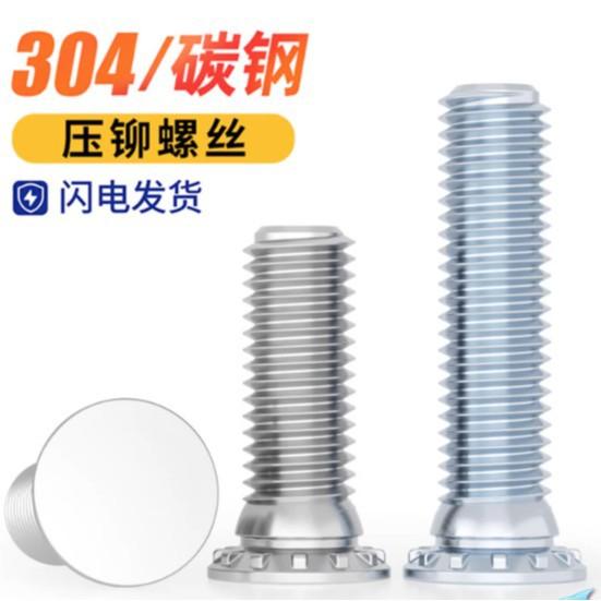 Jinchao 304 Stainless Steel Press-fit Pressure Plate Screws/Bolts M5 M6 M8 Galvanized M3*6