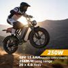 Toofly G20 All-Terrain E-Bike with 48V 15.6Ah Battery, 7-Speed Gear