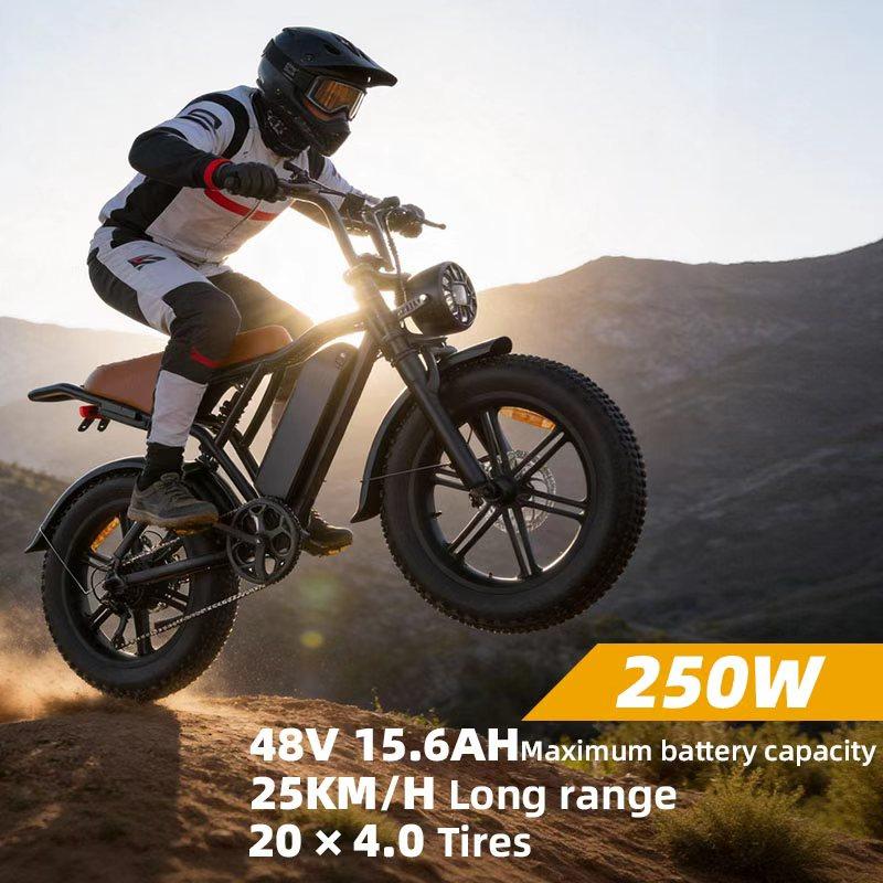 Toofly G20 All-Terrain E-Bike with 48V 15.6Ah Battery, 7-Speed Gear