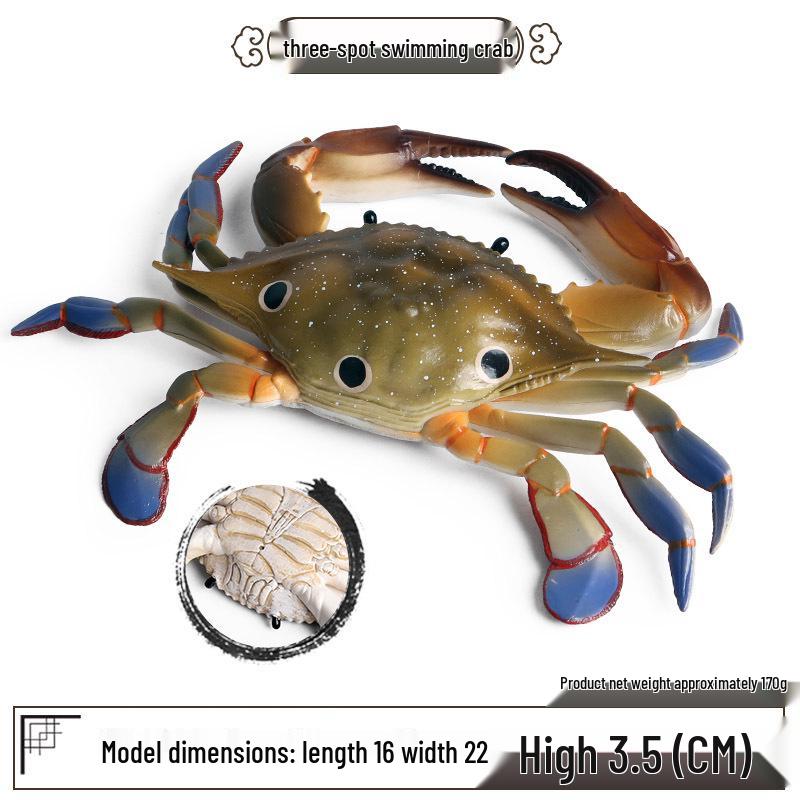 Children s Marine Animal Model Toys: Red King Crab & Blue Crab Ornaments