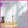 Insect Feather Cat Teaser with Replacement Handle and Head