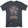 Batman Classic TV Robin Classic Duo DC Comics Licensed Children's T-shirt