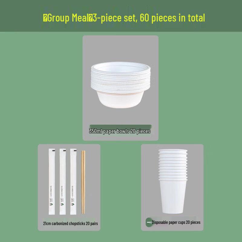 ZISIZ Disposable Dinnerware Set
