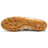Asics Ds Light Series Round Toe Lace-Up Ag (Rubber Short Stud) Soccer Shoes Men Soccer Shoes Platinum 1103A032-100