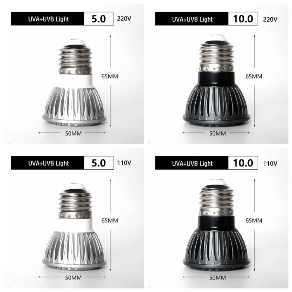 Effective LED Reptile Light Dedicated Reptile Lamp Bulb  Turtle Basking Platform