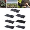 10 Count Propagation Trays for Nursery Use with Drain Holes