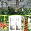 Loaded Tomato Support Hooks with 50 Feet of Twine, Greenhouse Trellis Kit, Durable Hooks Prevent Tomatoes from Getting Dropped