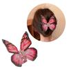 Acryl Schmetterling Haarspange Simulationsschmetterling Haarklammer Stilvolles Haaraccessoire Modischer Haargriff Geschenk für Mädchen