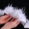 2022 Hot-Selling Double-Layer Encryption Ostrich Feather 8-15Cm Ostrich Feather Lace Cloth Strip Clothing Decoration
