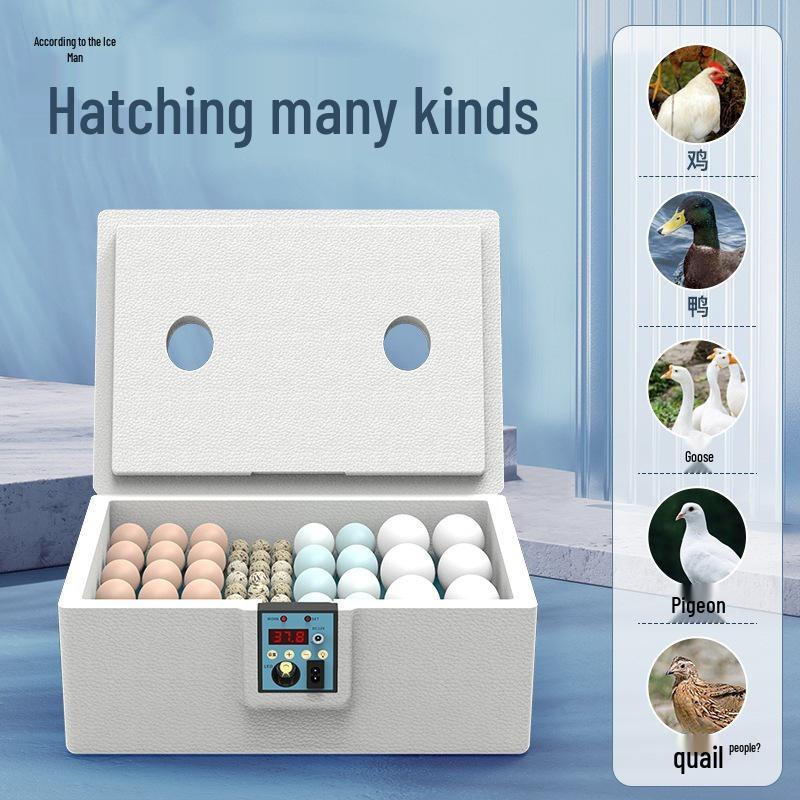 Fully Automatic Small Quail Egg Incubator: Intelligent Hatching Machine for Chicks, Ducks, and Geese
