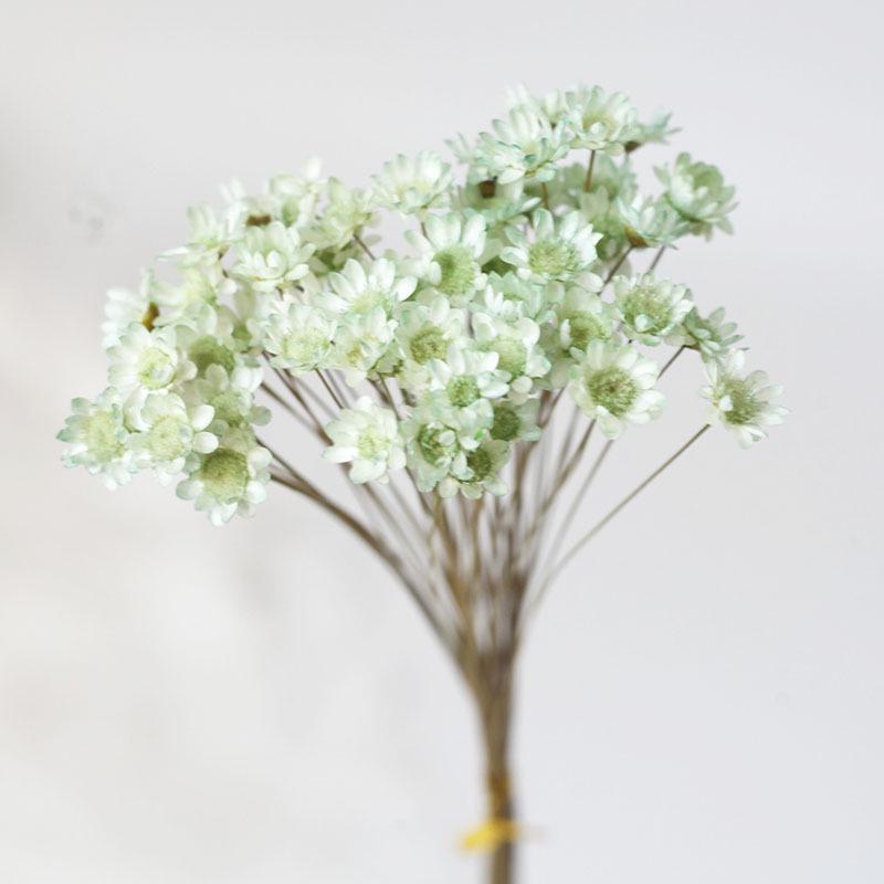 Brazil Starflower Daisy Scented Candle, Lipstick, and Dried Flower Mini Bouquet DIY Resin Photo Frame Arrangement