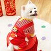New Year's God of Wealth Autumn and Winter Pet Dog Dog Clothes Cat Fleece Dog Sweater Cat Supplies Medium Dog Fighting Quad
