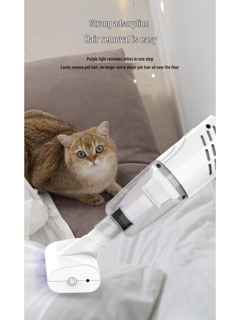 Rechargeable Handheld Mini Vacuum Cleaner and Dust Remover for Home and Car