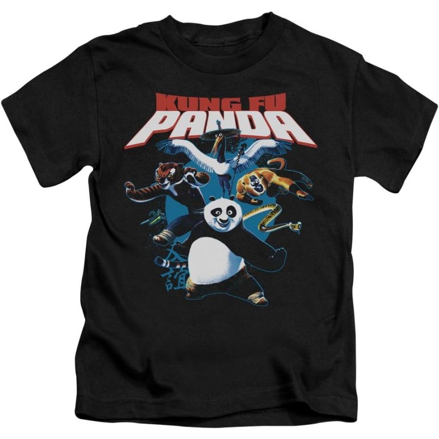 

Kung Fu Panda Kung Fu Група Унісекс Молодіжна Футболка для Дівчат та Хлопчиків L чорний