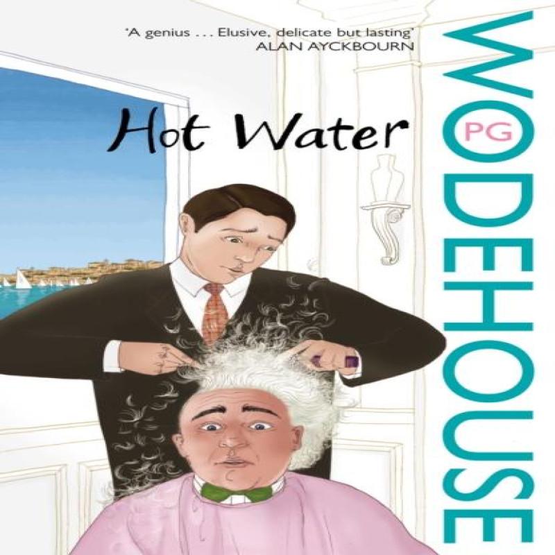 Hot Water by P.G. Wodehouse Paperback Book 9780099514152