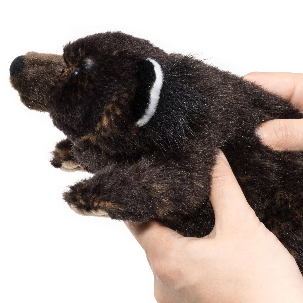 [COLORATA] Colorata Binturong Plush Toy (Lying Down SeriesSoft Touch) Realistic Animal Toy Doll Gift Present Birthday (Twice Checked)  Christmas