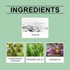 Repellents Spray Indoor 50ml Lizard Repellents Lavender Oil Gecko Spray Pet Safe Reptile Deterrents Control Powerful Repel