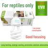 Reptile – Terarii pentru reptile