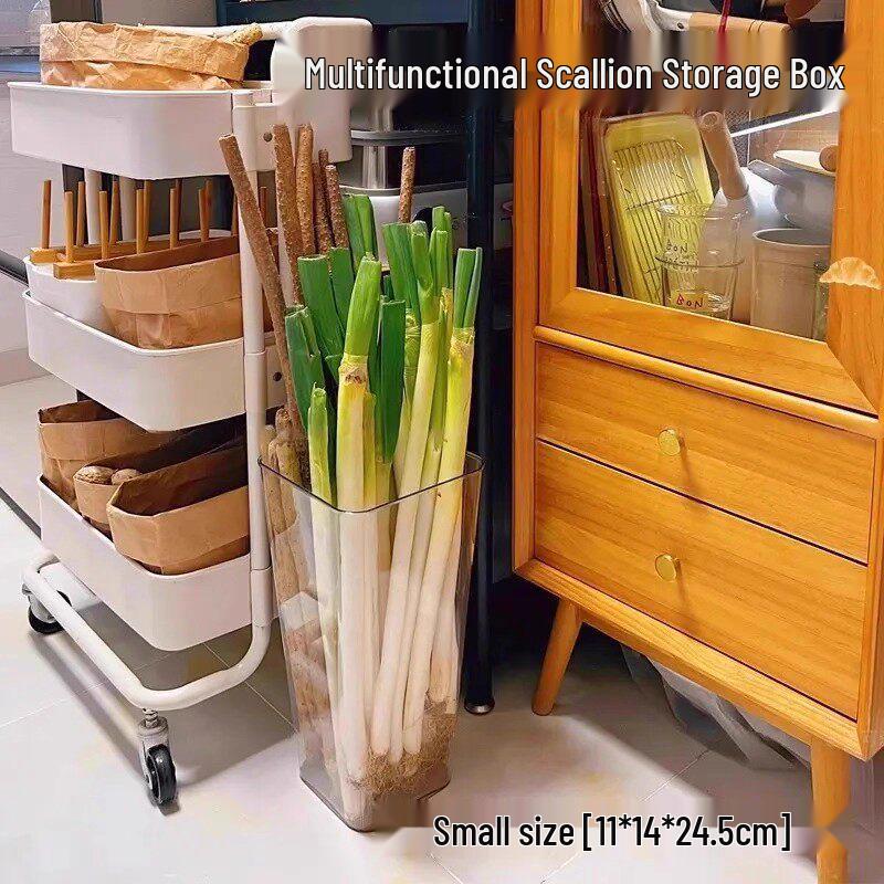 Large Capacity Transparent Kitchen Organizer for Scallions, Yams, Ginger, and Garlic
