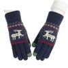 Korean Style Winter Touchscreen Knitted Gloves - Cute, Warm, Cold-Proof for Female Students & Cycling