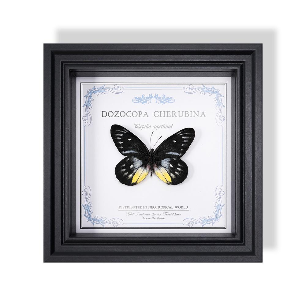 Wall-Mounted Butterfly Specimen Photo Frame: Home Decor & Gift for Valentine's Day, Qixi, Birthday, Couples & Insect Lovers