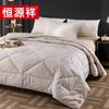 Hengyuanxiang All-Season Comfort Quilt